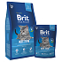 Brit Premium Chicken + salmon with sauce for kittens and pregnant and lactating cats 8 kg Complete feed