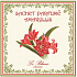 Le Blanc Amaryllis - Starfish Scented bag 11 x 11 cm 8 g