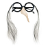 Glasses with halloween witch nose