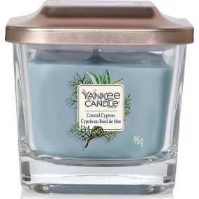 Yankee Candle Coastal Cypress - Coastal Cypress Soy Scented Candle Elevation Small Glass 1 Wick 96 g