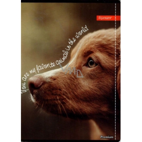 Ditipo Notebook Premium Collection A5 lined Dog 14.5 x 20.5 cm 3415007