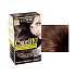 Loreal Excell 10 Hair Color 5.15 Ice Maroon