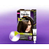 Schwarzkopf Palette 10 minutes Color hair color 400 Dark brown