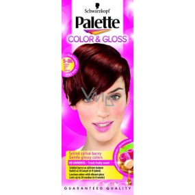 Schwarzkopf Palette Color & Gloss hair color 5 - 86 Spicy cinnamon
