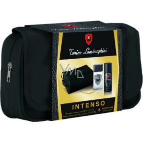 Tonino Lamborghini Intenso aftershave 100 ml + deodorant spray 150 ml + toilet bag, cosmetic set