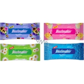 Freshmaker Wet Wipes cosmetic wet wipes 15 pieces