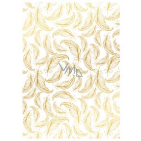 Ditipo Gift wrapping paper 70 x 200 cm white, gold feathers