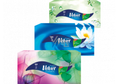 Velvet Classic Sanitary Napkins 2 ply 100 pieces in a box