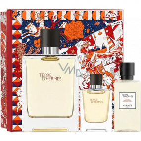 Hermes Terre D Hermes Eau de Toilette for men 100 ml + Eau de Toilette 12,5 ml + After Shave 40 ml, gift set for men