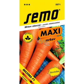 Semo Carrot Maxi Maxima F1 hybrid late, storable 1 g