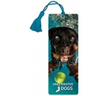 Prime3D Bookmark - Mylo 5.7 x 15.3 cm