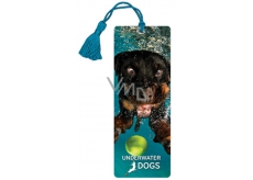 Prime3D bookmark - Mylo 5.7 x 15.3 cm