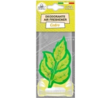 Lady Venezia Deodorant Air Freshener Cedro - Cedr osvěžovač vzduchu závěsný do auta 1 kus
