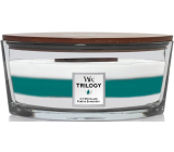 WoodWick Trilogy Icy Woodland - Ice Forest scented candle with wooden wick and lid glass boat 453 g