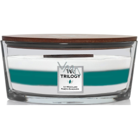 WoodWick Trilogy Icy Woodland - Ice Forest scented candle with wooden wick and lid glass boat 453 g