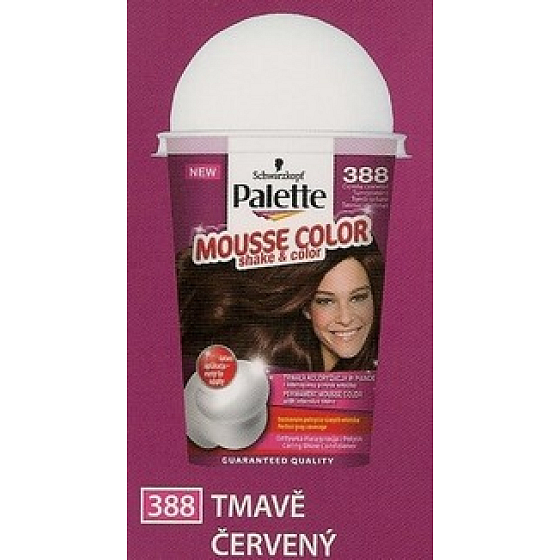 Schwarzkopf Palette Mousse Color Shake and Hair Color 388 Dark Red