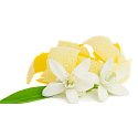Millefiori Milano Natural Lemon Grass - Lemongrass Diffuser 500 ml + 12 stalks 35 cm long for large spaces lasts 6-7 months