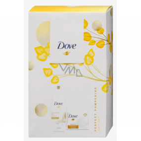 Dove Nourishing Silk Moroccan Argan Oil Shower Gel 250 ml + Argan Toilet Soap 100 g, cosmetic set