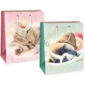 Ditipo Gift paper bag 26.4 x 13.6 x 32.7 cm male - cat DAB