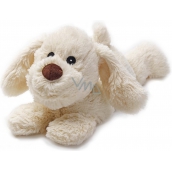 Albi Warm plush with lavender scent Dog lying brown 30 x 20 x 17 cm, 750 g