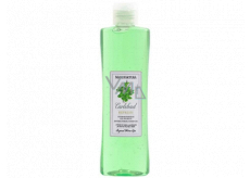 Manufactory Antibacterial hand gel with hot spring salt, mint and panthenol 215 ml