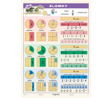 Ditipo Fractions educational table A4