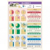 Ditipo Fractions educational table A4