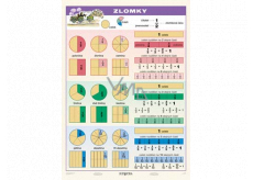 Ditipo Fractions educational table A4