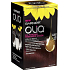Garnier Olia Ammonia Free Hair Color 4.6 Dark red