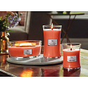 WoodWick Tamarind & Stonefruit - Tamarind and stone scented candle with wooden wide wick and boat lid 453 g