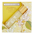 Heathcote & Ivory Neroli & Lime Leaves perfumed roll-on for women 10 ml