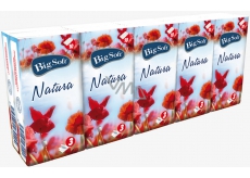 Big Soft Natura paper handkerchiefs 3 ply 10 x 10 pieces