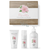 Regina Almond Hand Cream 75 ml + Face Cream 50 ml + Cleansing Milk 200 ml, Gift Set