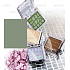 Miss Sports Fabulous Mono Eyeshadow 113 2.5 g
