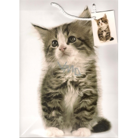 Nekupto Gift paper bag 32.5 x 26 x 13 cm Kitten 1 piece 763 02 BL