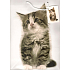 Nekupto Gift paper bag 32.5 x 26 x 13 cm Kitten 1 piece 763 02 BL