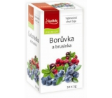 Apotheke Natur Blueberry and Cranberry Fruit Tea 20 x 2 g