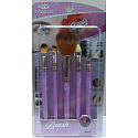 EBM Exmon Cosmetic Brush set of cosmetic brushes 5 pieces BC 291