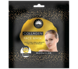 Elysium Spa Collagen 15 Minute Rejuvenating Facial Mask 1 Piece