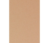 Ditipo Gift Wrapping Paper 70 x 300 cm Christmas Without Print