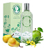 Jeanne en Provence Flánerie Dans Le Verger perfumed water for women 125 ml
