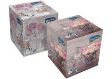 Big Soft Deluxe kosmetické ubrousky 3vrstvé box 60 kusů
