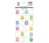 Sheet of Decorative Home Stickers Colorful Owls 12 Labels