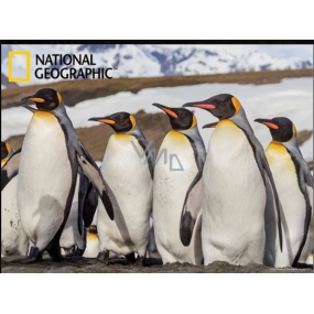 Prime3D magnet - Penguins 9 x 7 cm