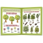 Ditipo Punťa in the forest exercise book for first-graders 16 pages 215 x 275 mm