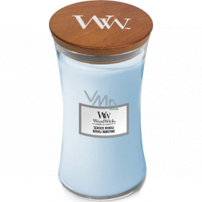 WoodWick Seaside Neroli - Coastal Neroli scented candle with a wooden wick and lid glass large 609 g