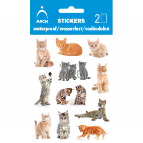 Arch Waterproof decorative stickers Cats 9.5 x 6.5 cm