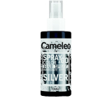 Delia Cosmetics Cameleo Spray & Go hair spray Silver 150 ml