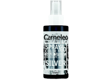 Delia Cosmetics Cameleo Spray & Go hair spray Silver 150 ml