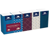 Harmony Gentlemen´s Light Perfumed 3 ply paper handkerchiefs 10 x 10 pieces